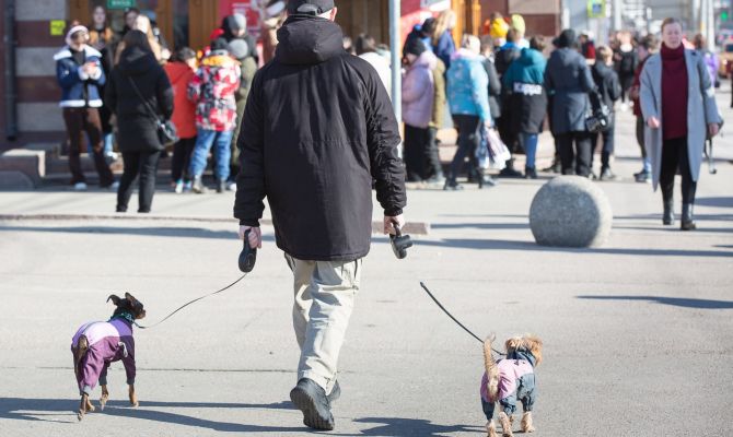 12 марта туляков ожидают геомагнитные возмущения