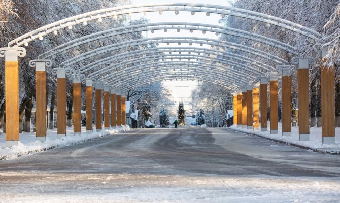20 декабря в Тульской области будет +4 градуса и туман
