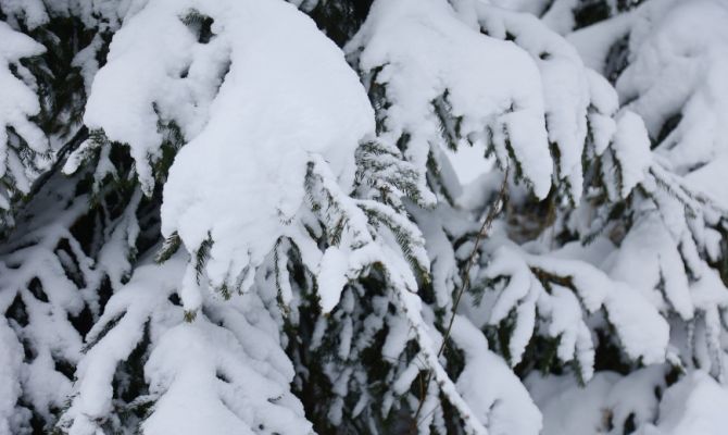 Синоптики прогнозируют полуметровые сугробы в Туле
