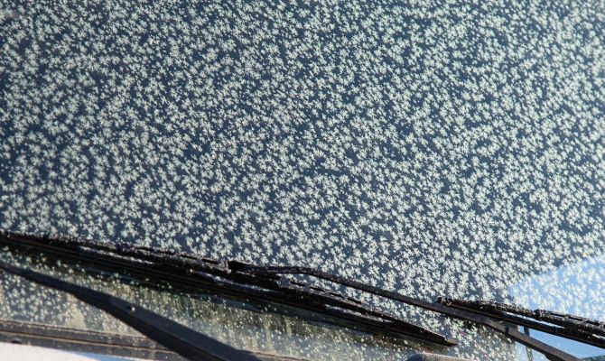 16 января в Тульской области пройдет снег