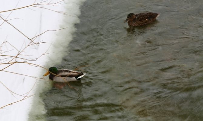Переменная облачность ожидается в Туле вечером 9 марта