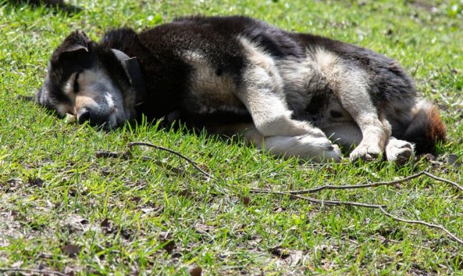 Жара в Тульской области задержится до конца недели
