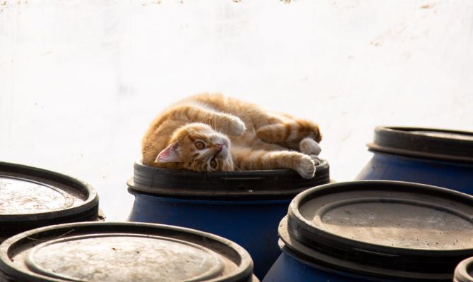 3 мая в Тульской области будет +14 градусов