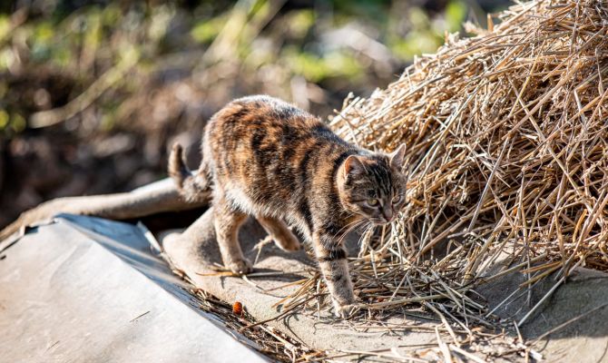 30 мая в Тульской области будет +29 градусов