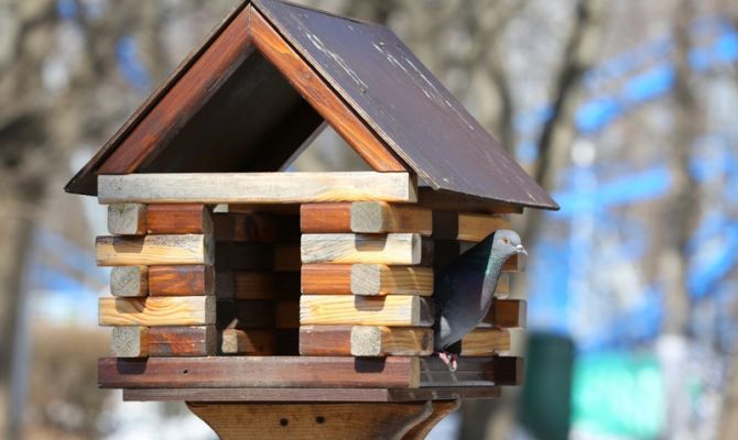 29 марта в Тульской области будет +10 градусов