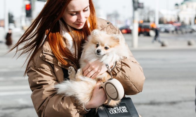 15 марта в Тульской области будет +8 градусов