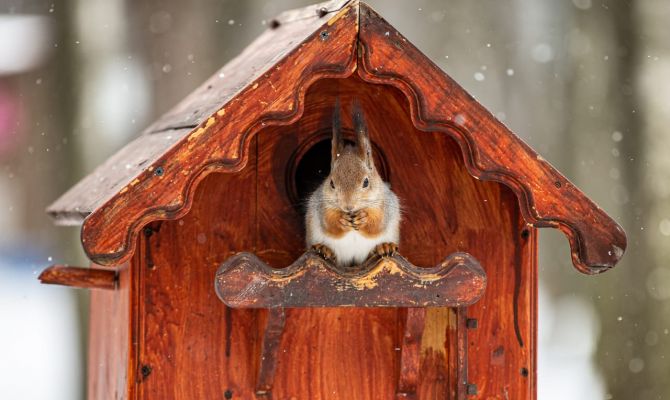 7 декабря туляков ожидает повышенное атмосферное давление