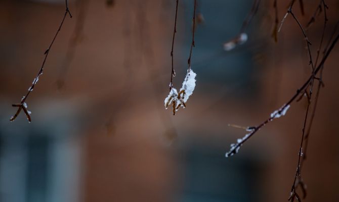 Небольшой снег и туман ожидаются вечером 15 февраля в Туле