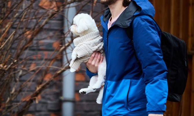 13 апреля в Туле будет тепло и без осадков 