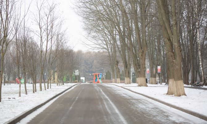 11 декабря в Туле ожидается мокрый снег