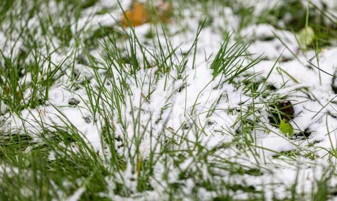 Заморозки в Тульской области могут задержаться до середины мая