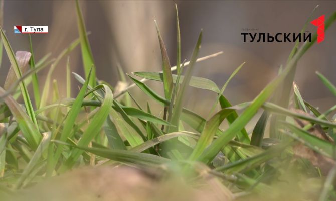 Весенняя температура в Туле может побить абсолютный рекорд