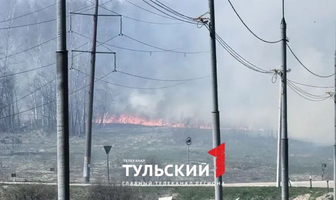Тулякам заплатят 10 тысяч рублей за информацию о поджигателях травы