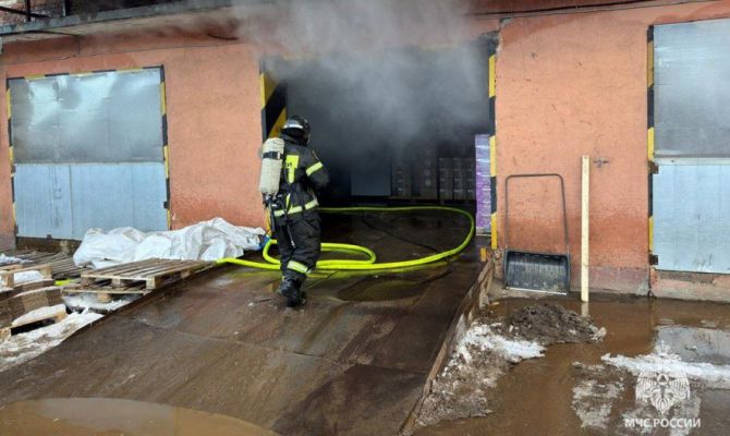 Сколько пожаров потушили в Тульской области за сутки