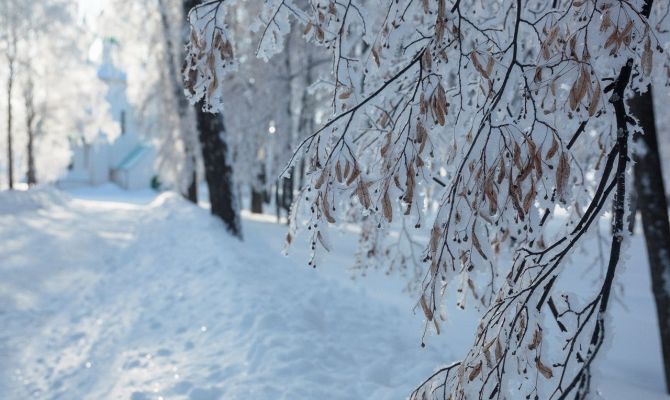 Что посмотреть с ребенком на Куликовом поле на каникулах