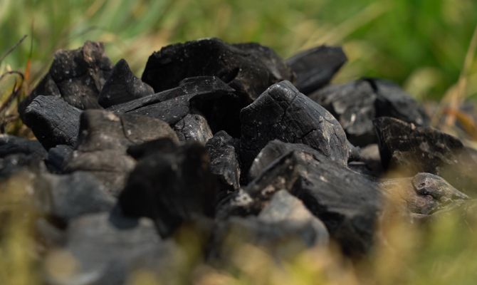 В России в 10 раз выросли штрафы за шашлыки в неположенном месте