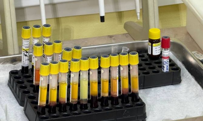 Туляки могут записаться на бесплатную диспансеризацию через «Госуслуги»