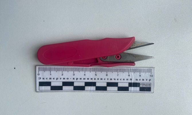 Жительница Белева попыталась прийти в суд с механическими ножницами