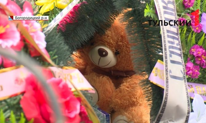 В Тульской области на пруду утонула 5-летняя девочка