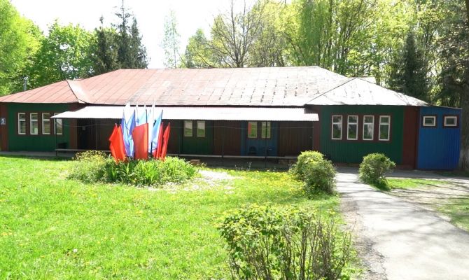 В России появится единая система подготовки вожатых для детских лагерей