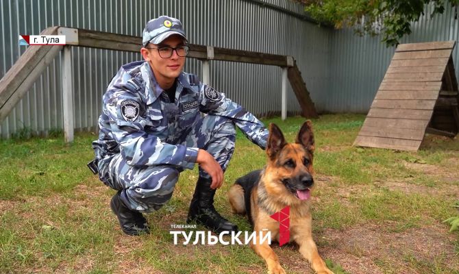 Ошибки в дрессировке и борьба с характером: кинологи дали советы по воспитанию собак