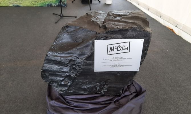 Тульский предприниматель купил российский бизнес канадского производителя картофеля фри