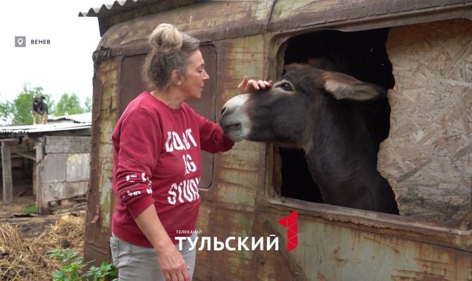 Под Тулой женщина спасает животных от скотобойни