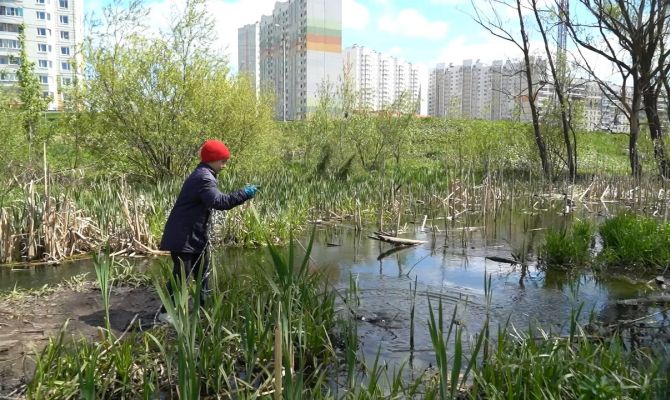 В Туле 8-летний мальчик регулярно очищает ручей от мусора своими руками