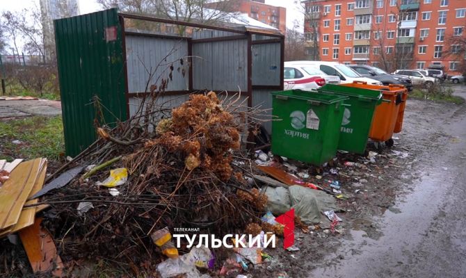 В Туле контейнерная площадка у дома заросла мусором за полтора месяца без УК