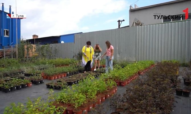 Тульские садоводы-кооператоры могут получить от государства субсидии на покупку оборудования