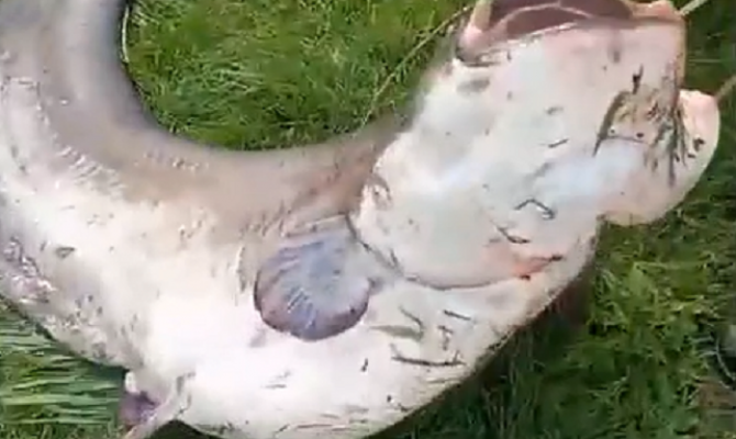 «Школьная карта»: как тульские ученики оплачивают еду в столовой