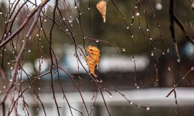 3 января в Тульской области ожидается +2 градуса