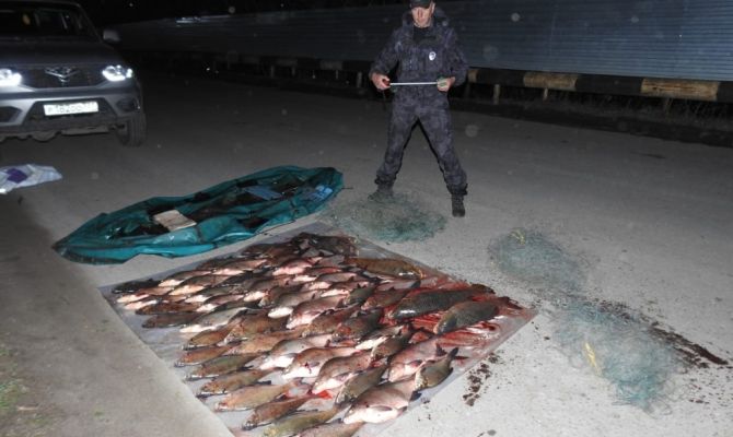 Туляк-браконьер незаконно выловил более 30 рыб