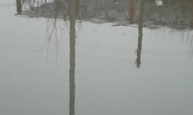 В Ясногорске в реку Вашану попали канализационные стоки