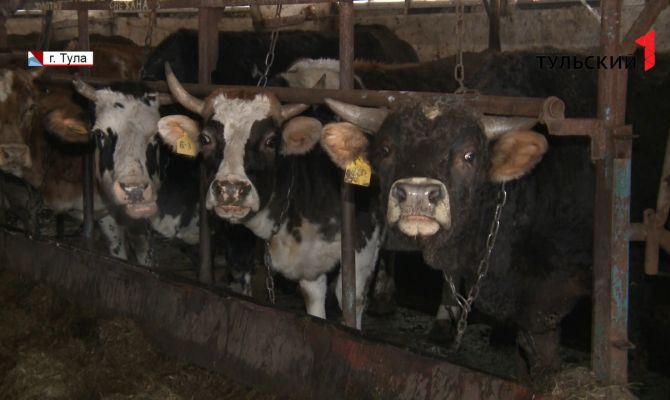 Астрологи рассказали, что готовит грядущий 2021 год