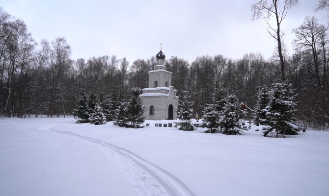 Почему Тесницкий лес в Тульской области стал полигоном для массовых расстрелов репрессированных