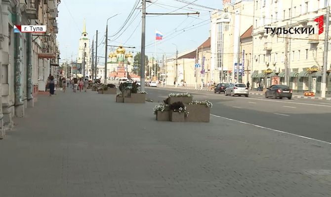 Деревьям быть: как будут озеленять проспект Ленина в Туле