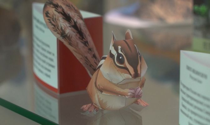 От амурского тигра до белой акулы: в тульском экзотариуме открылась необычная выставка