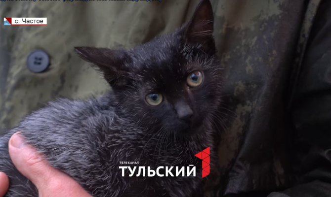 Туляк продал двухкомнатную квартиру ради спасения бездомных животных