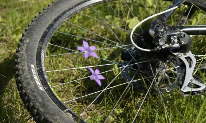 В Ясной Поляне с воскресенья стартуют велоэкскурсии