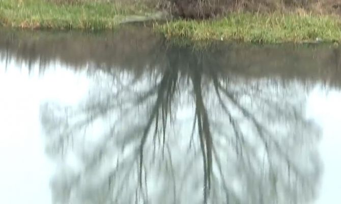 ООО «Кимовские просторы» запретили брать воду из реки Сухая Табола