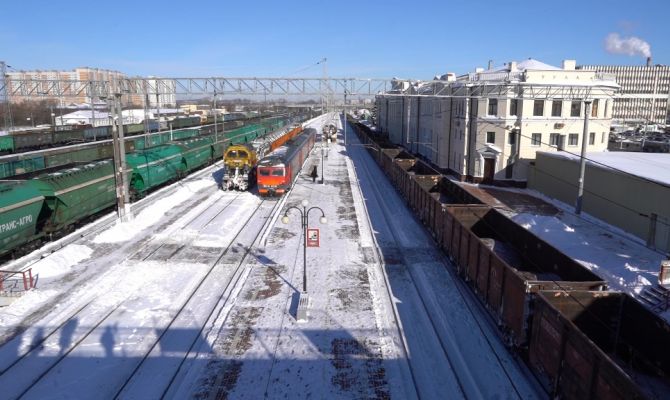 РЖД изменит правила перевозки животных после гибели кота Твикса