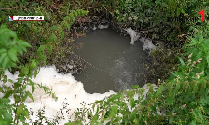 Белая пена и канализационные нечистоты: экологическое ЧП произошло сразу на двух водоемах под Щекино