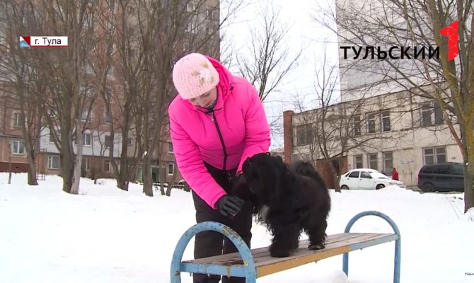 Песко-соляные смеси и реагенты: как тулякам уберечь от них лапки собак