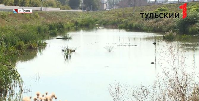 Тулячка утонула в пруду из-за цепочки: какие еще тайны хранят забытые тульские водоемы