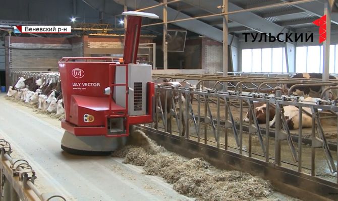 В Тульской области стало больше молока