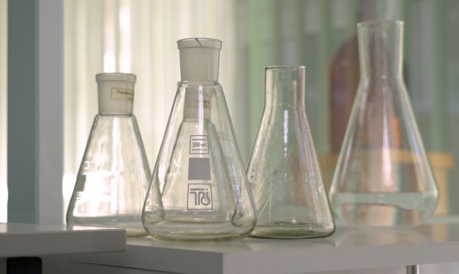 В Тульской области изобрели новое средство против холеры и африканской чумы