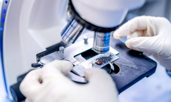 Ученый назвал самый молодой человеческий орган