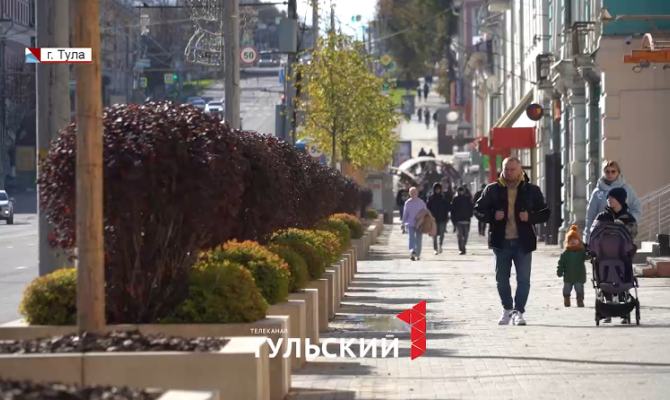 От морозов до реагентов: как в Туле будут защищать новые деревья от гибели