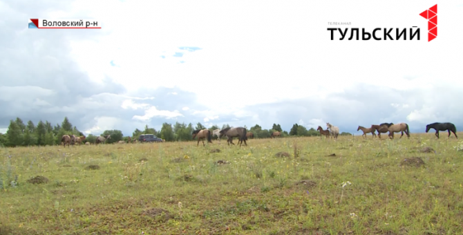Жителям Тульской области предлагают вернуться в эпоху доледникового периода 